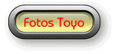Fotos Toyo